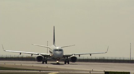 Небо Стамбула атаковали скворцы