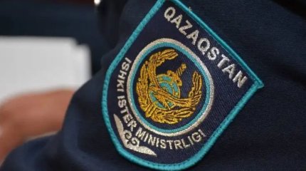 Интерполдың көмегімен 3 жасар бала Қазақстанға қайтарылды