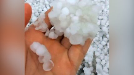 «Зимой запахло»: град размером с крупную фасоль выпал в Актюбинской области