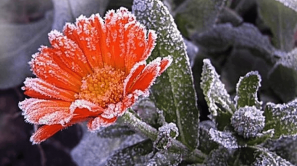 Синоптиктер Астанада қар жауатынын ескертті