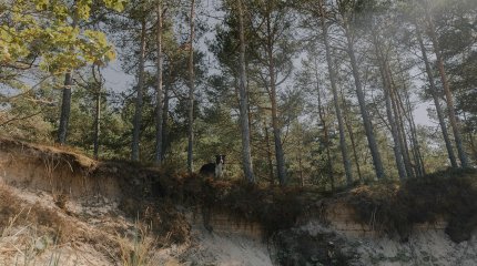 Крупный оползень произошел в Папуа - Новой Гвинее: сотни погибших