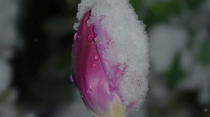 Қазығұртта қар жауды