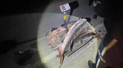 Атырауда екі балық инспекторы браконьерлікпен айналысты деген күдікке ілінді