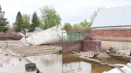 СҚО-да зардап шеккендерге тұрмыстық техника мен жиһаздар сатып алынады