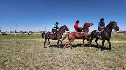 Қостанай жылқысының бәйгесі өтті