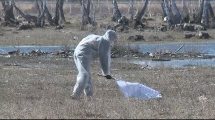 Маңғыстауда кене көбейіп мал қырылды