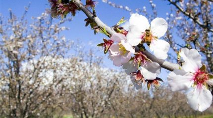 25 градус жылы болады