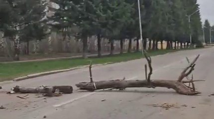 Двух восточноказахстанцев наказали за бревна посреди дороги