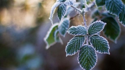 Елімізде күн қайта суытады