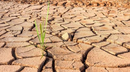 О засухе в Кызылординской области предупредили синоптики