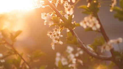 Гроза в Астане, солнечная погода на юге: прогноз синоптиков на сегодня, 30 мая