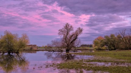 Денежную компенсацию получат владельцы подтопленных крестьянских хозяйств в Атырау