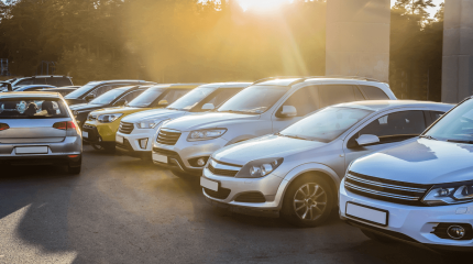 Түркиялық қылмыстық топ қазақстандықтарды 78 миллион теңгеге алдап кеткен