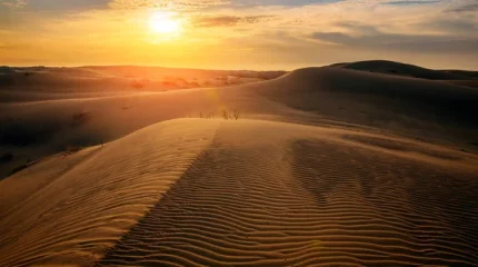 Әлемге ескерту: жаһандық жылыну құбылысы байқалып жатыр