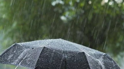 Бүгін ел аумағында жаңбыр жауып, үсік жүреді