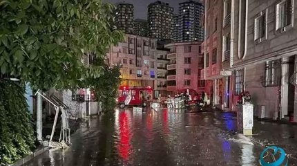 Түркияда жаңбыр соңы селге ұласты