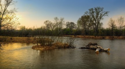 Паводки: уровень воды в реке Жайык превысил критическую отметку в двух селах Атырауской области