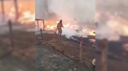 Орман өрті: Ресейде 2 адам қаза тапты