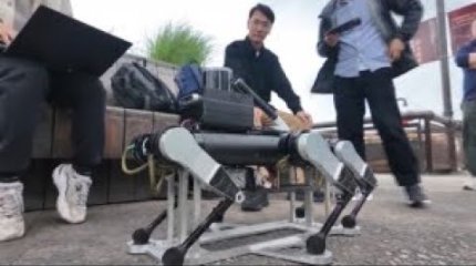 Қытайда мүгедек жандарға арналған робот-ит жасап шығарылды