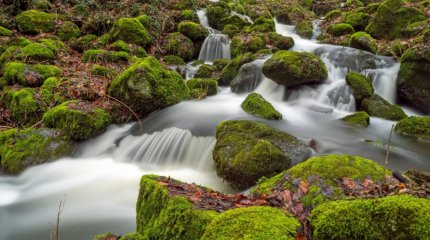 О возможных подтоплениях предупредили в двух регионах страны