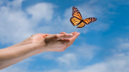 Водолеи, берите всё в свои руки, Рыбы, острожнее на дороге: советы звёзд 9 мая