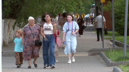 Қарағанды облысында шыбын-шіркей қаптады