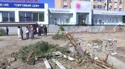 «До слёз обидно»: в центре Актобе за одну ночь вырубили десятки деревьев