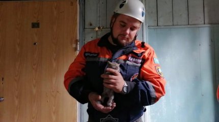Застрявших в стене котят спасли в Усть-Каменогорске