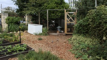 Ногу мужчины затянуло в культиватор в Кокшетау (ВИДЕО)