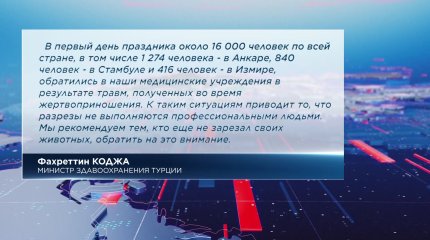 Минздрав Турции обратился к мусульманам по поводу жертвоприношений во время Курбан айта