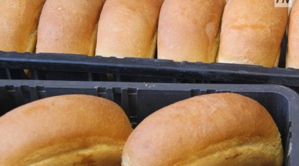 Егеуқұйрық жүрген: Павлодарда нан сататын дүңгіршектің иесі айыппұл төлейді