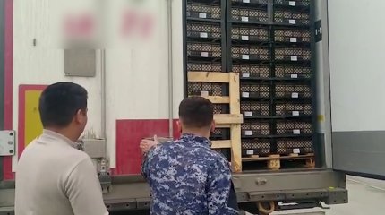 Қырғызстаннан Қазақстанға жіберілген шиеден жидек шіркейі табылды