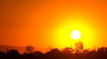 Жаркие выборы в Индии: десятки человек погибли от экстремальной жары