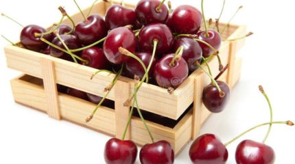 Зараженную личинками черешню обнаружили на границе Казахстана с Кыргызстаном