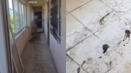 Женщина смущает соседей обнаженным видом и опорожнениями в Актау
