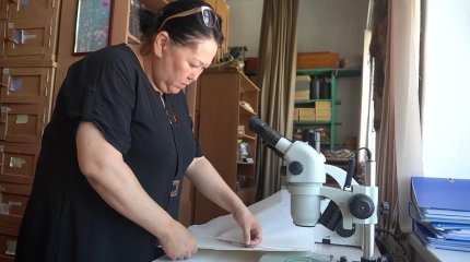 Оралдық ғалымдар өсімдіктің жаңа түрін тапты