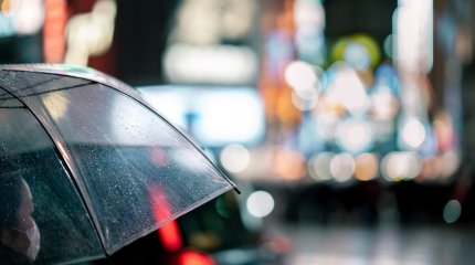 Самый дождливый: в Москве установлен новый погодный рекорд