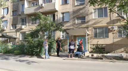 На нашествие блох жалуются жители актауских многоэтажек