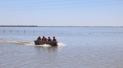 Жителям Атырауской области запретили купаться в реке Жайык