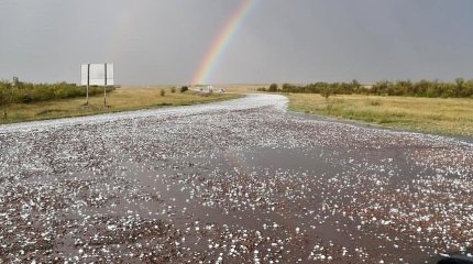 Қырғызстанда қатты жауған бұршақ 50 гектардан астам егінге зақым келтірді