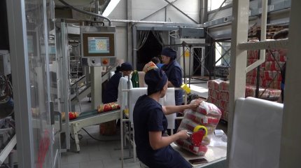 Костанайский мелькомбинат экспортирует продукцию в Грузию