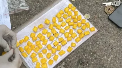 Шымкентте есірткі зертханасы жойылды