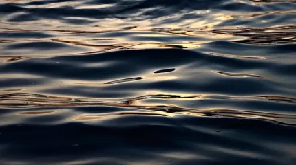 Щучинск қаласында Мазут арыққа ағып жатыр