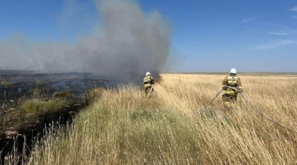 Түркістан облысында 5 гектар жерде құрғақ шөп жанып кетті