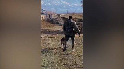 Алматы облысында үш ай бұрын жоғалып кеткен 3 жасар қыз әлі табылмай жатыр