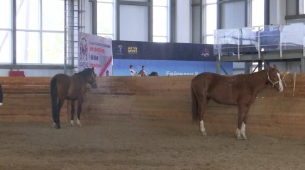 Ақтөбедегі ат спорты мектебіне асыл тұқымды жылқы орнына, мініс аттарын сатып алған кәсіпкер жауапқа тартылды