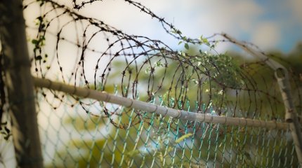 Казахстанского комика арестовали за пьяный дебош в самолете