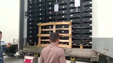 60 тонна қызанақтан қауіпті вирус табылды