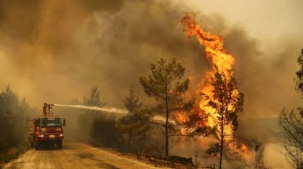 Лесные пожары бушуют в Турции