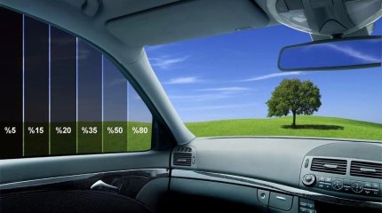 Петицию о разрешении тонировать передние боковые стёкла запустили автолюбители Казахстана